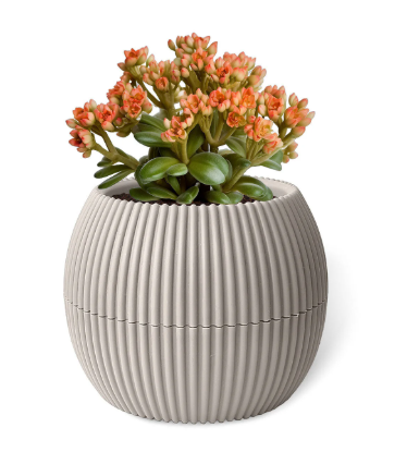 Mercan Saksı No:1 Bej