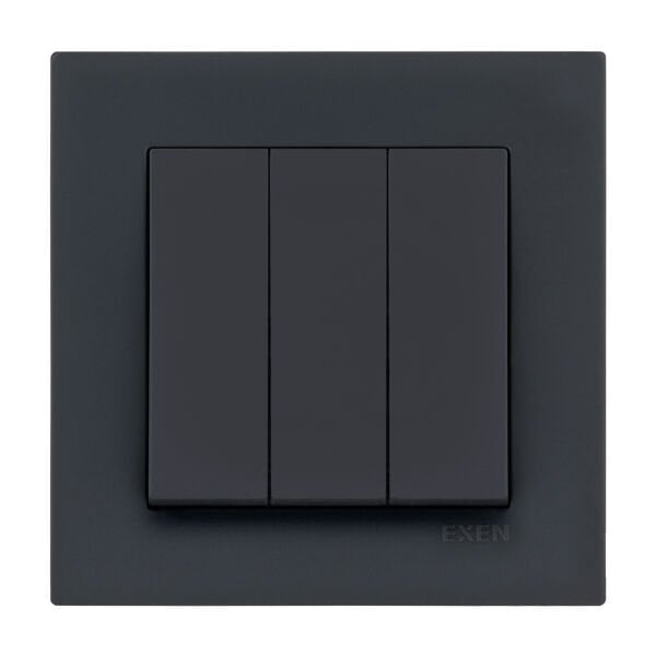 Exen Karell Blisterli Füme Üçlü Anahtar