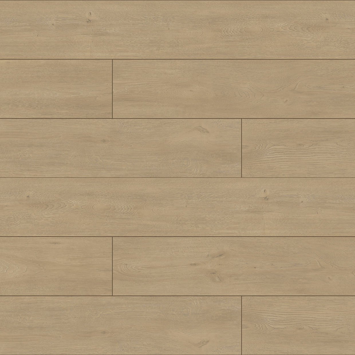 Vario Vista AC5 8mm Laminat Parke Lotus