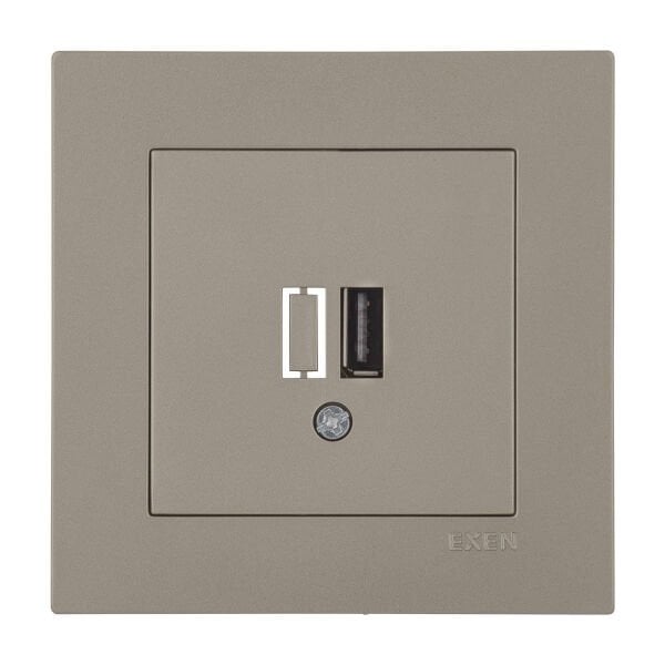 Exen Karell Blisterli Titanyum Usb Şarj Prizi