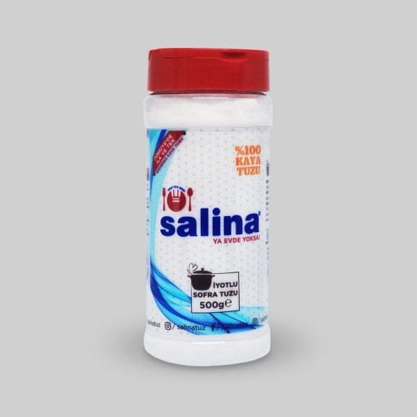 Salina Kaya Tuzu İyotlu 500gr