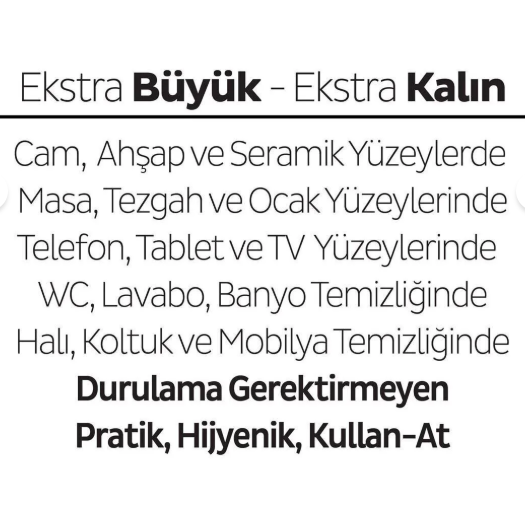 Sleepy Yüzey Temizlik Havlusu Lilyum 100 lü