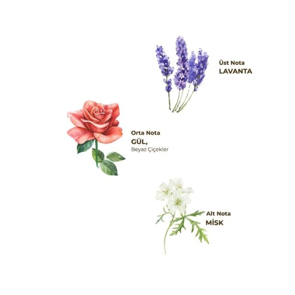 Eyüp Sabri Tuncer Pet Sprey Kolonya Lavanta 150ml