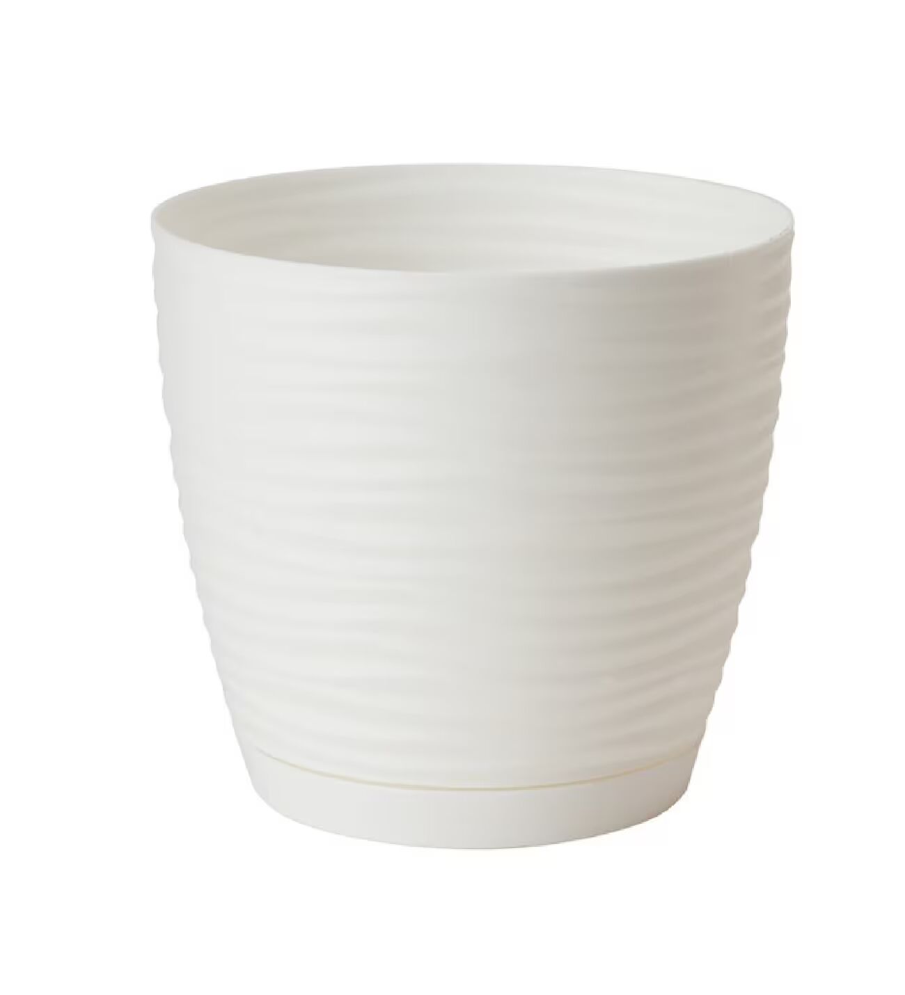 Sahra Saksı No:3 Beyaz