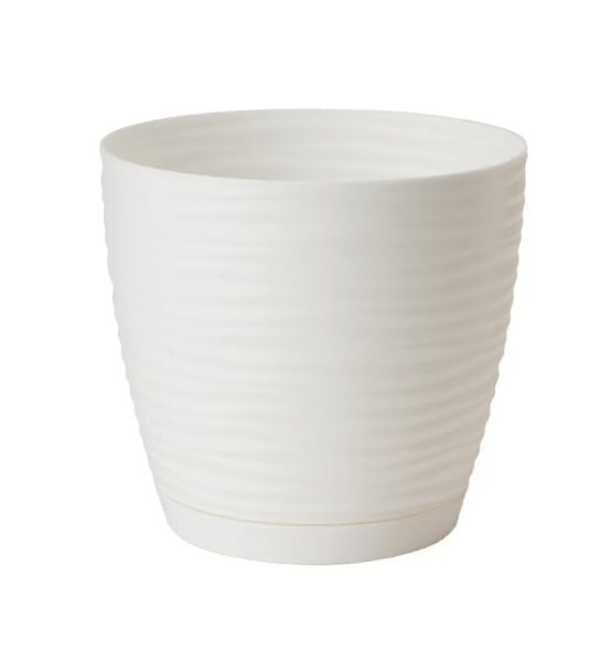 Sahra Saksı No:3 Beyaz