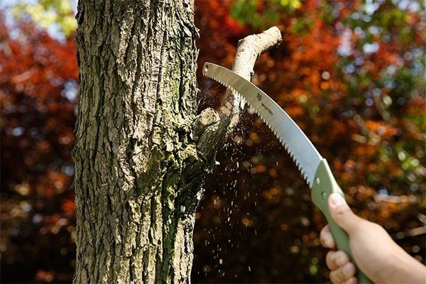 Worth 1403 Budama Testeresi