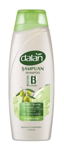 Dalan Şampuan Onarıcı Bakım 450ml