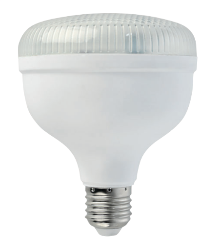 Horoz Crystal 30W Led Ampül E27 6400k