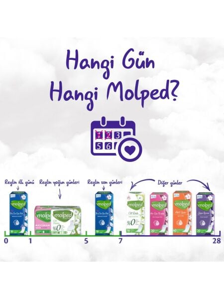 Molped Aktif Günler Mega 100lü