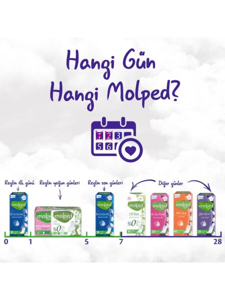 Molped Aktif Günler Mega 100lü